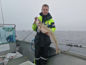 IMG_20170723_125735.jpg IMG_20170723_125735.jpg