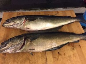 upload_2017-8-2_20-15-43.jpeg upload_2017-8-2_20-15-43.jpeg