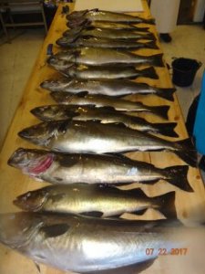 upload_2017-8-2_20-16-40.jpeg upload_2017-8-2_20-16-40.jpeg