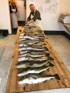 upload_2017-8-2_20-51-30.jpeg upload_2017-8-2_20-51-30.jpeg