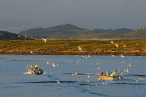 upload_2017-8-2_20-54-31.jpeg upload_2017-8-2_20-54-31.jpeg