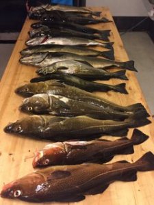 upload_2017-8-2_20-54-57.jpeg upload_2017-8-2_20-54-57.jpeg