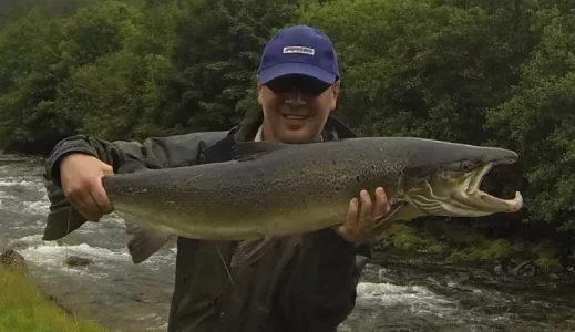 Lachs 7aug2017a.webp