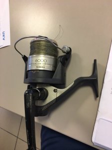 Shimano Rolle 2.JPG