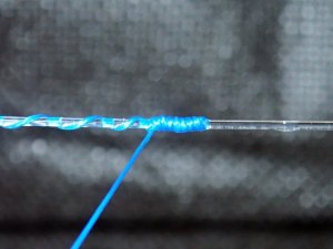 P8120007.JPG P8120007.JPG