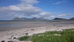 IMG-20170813-WA0007.jpeg