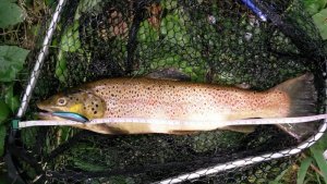 20170806_152203.jpg 20170806_152203.jpg