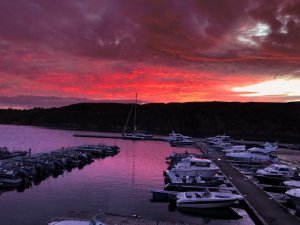 IMG_3022.JPG
