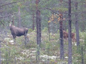 P1040436.JPG P1040436.JPG