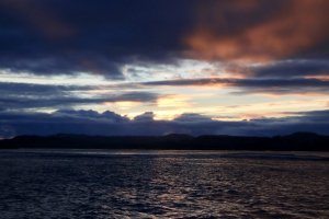 IMG_2389.jpg