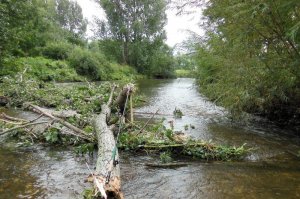 DSCN9435-2.jpg DSCN9435-2.jpg