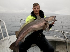 IMG_2433.jpg