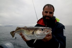 IMG_2452.jpg