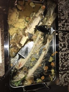 IMG_8085.jpg IMG_8085.jpg