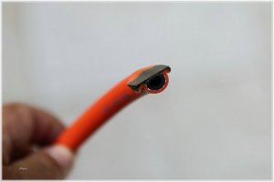 IMG_5364.comp.jpg IMG_5364.comp.jpg