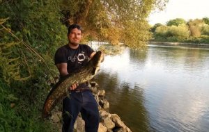 Flo 95er Waller 26_08_2017 am Neckar.jpeg Flo 95er Waller 26_08_2017 am Neckar.jpeg