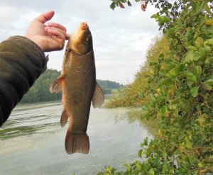 DSCN9508-2.jpg DSCN9508-2.jpg