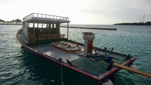 IMG-20170827-WA0000.jpg IMG-20170827-WA0000.jpg