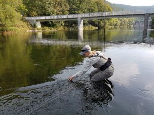 20170902_102515.jpg 20170902_102515.jpg