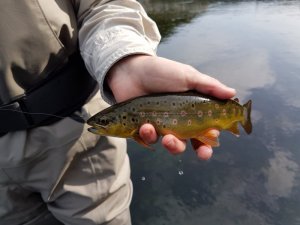 20170902_102850.jpg 20170902_102850.jpg