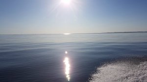 20170903_172446.jpg