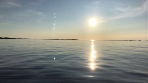 Sonne.jpg
