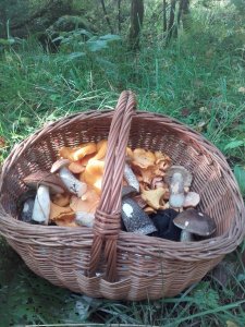 20170922_101804.jpg