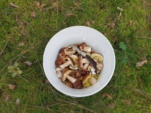 20170923_092234.jpg