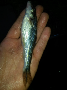 2016-05-05 20.50.49.png