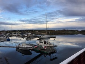 IMG_9607.JPG IMG_9607.JPG