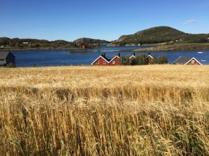 IMG_9643.JPG IMG_9643.JPG