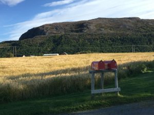 IMG_9644.JPG IMG_9644.JPG