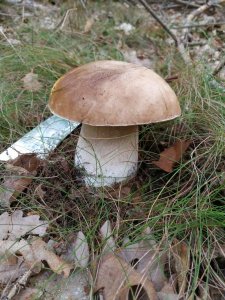 IMG_20170923_093851.jpg
