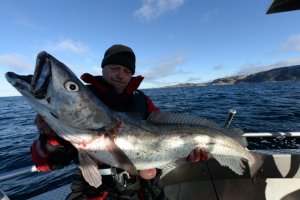 IMG-20171007-WA0119.jpg IMG-20171007-WA0119.jpg