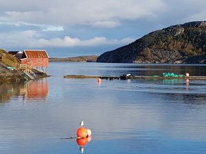 20171007_100727.jpg 20171007_100727.jpg