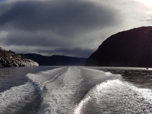 20171007_121235.jpg 20171007_121235.jpg