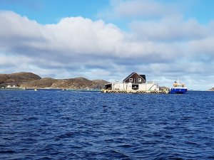 20171007_122051.jpg 20171007_122051.jpg