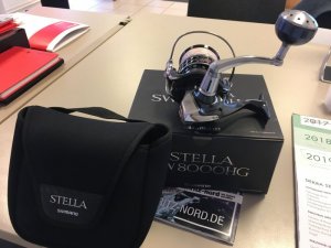 Stella 1.JPG