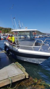 2017-06-02 13.22.39.jpg