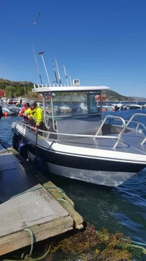 2017-06-02 13.22.39.webp