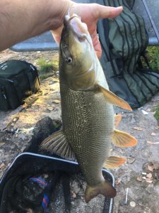 Barbe Hand.jpg Barbe Hand.jpg