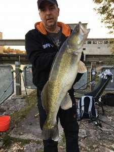 Zander hat.jpg Zander hat.jpg