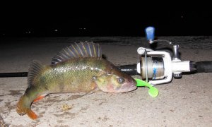 DSCN9728 - Kopie.JPG