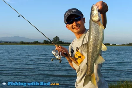 Pike Minnow.webp