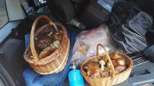 IMG_20171022_131220.webp IMG_20171022_131220.webp