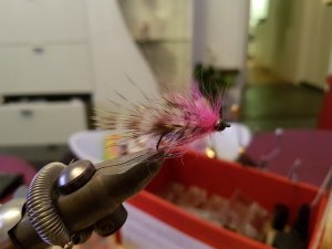 20171101_194334.jpg 20171101_194334.jpg