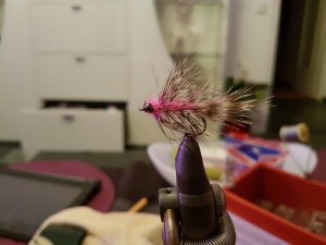 20171101_200410.jpg 20171101_200410.jpg