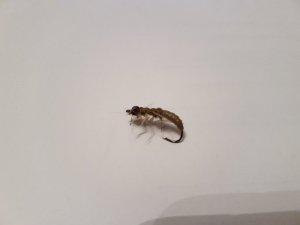 20171031_165909.jpg 20171031_165909.jpg