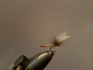 20171103_182107.jpg 20171103_182107.jpg