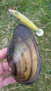 20171108_133124.jpg 20171108_133124.jpg